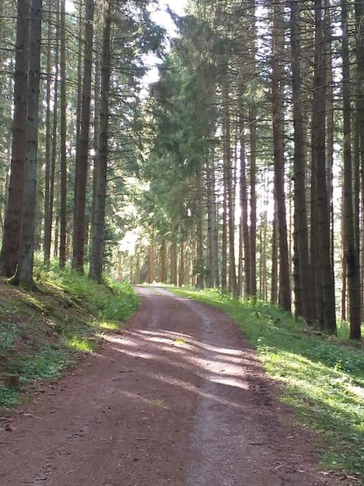 Holzhaus Chalet Nationalpark Eifel Hund Willkommen Хелленталь Экстерьер фото